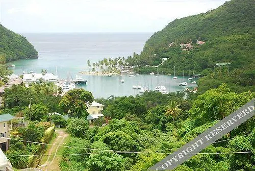 Jj'S Paradise Resort Marigot Bay Saint Lucia
